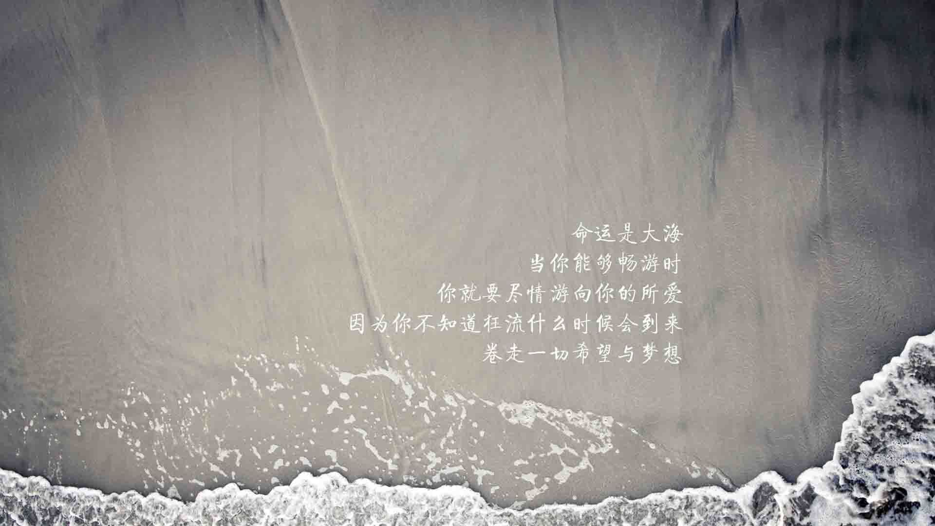 校园体育文化建设与社会支持机制研究，校园体育文化建设方案