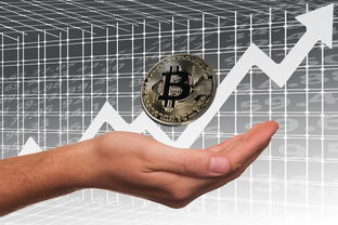开云网页版登录入口-英超俱乐部母公司上市路径与股价波动分析，英超球队股份