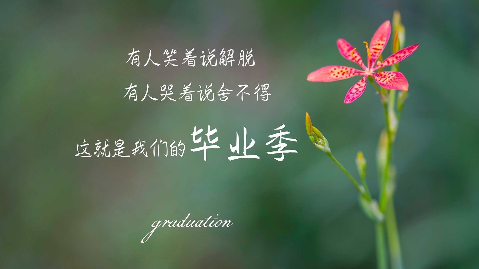 中国篮球发展路径应坚持自我融合创新，中国篮球发展规划